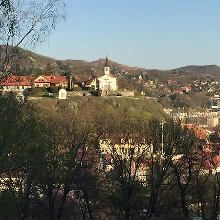 Levendula Vendeghaz Tarján